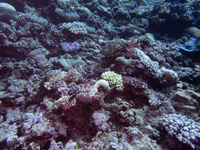 img41
